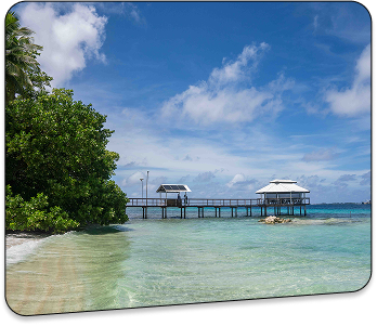 Marshall Islands LLC