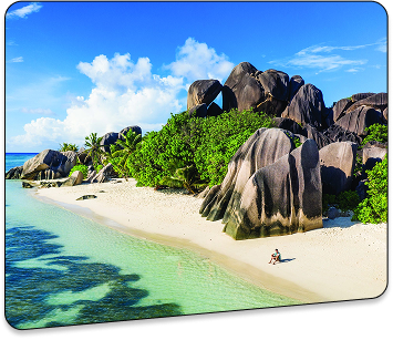IBC in Seychelles